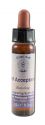 Crystal Herbs Integrating Spirit Self Acceptance 10 ml
