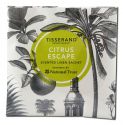 Tisserand Inspired By National Trust Citrus Escape Single Sachet 8 gm