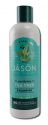 Jason Body Care Hair Care & Scalp Therapy Tea Tree Shampoo 12 oz