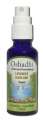 Oshadhi Hydrosols Lavender Highland, Organic 30 mL