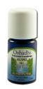 Oshadhi Essential Oil Singles Allspice 5 mL