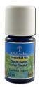 Oshadhi Essential Oil Singles Basil, Sweet 5 mL