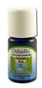Oshadhi Essential Oil Singles Chamomile, Blue Extra 3 mL