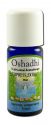 Oshadhi Essential Oil Singles Cypress, Extra 10 mL