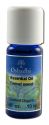Oshadhi Essential Oil Singles Fennel, Sweet, Extra 10 mL
