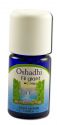 Oshadhi Essential Oil Singles Fir, Giant 5 mL