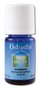 Oshadhi Essential Oil Singles Hyssop, Wild 5 mL