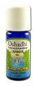 Oshadhi Essential Oil Singles Lavandin, Wild 10 mL