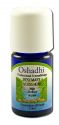 Oshadhi Essential Oil Singles Rosemary, Verbenone Organic 5 mL