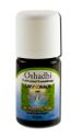 Oshadhi Rare & Uncommon Essential Oils Tansy, Common 5 mL