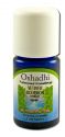 Oshadhi Essential Oil Singles Vetiver, Bourbon 5 mL