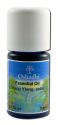 Oshadhi Essential Oil Singles Ylang Ylang, Wild Extra Super 5 mL