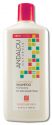 Andalou Naturals Shampoo Sweet Orange Argan Moisture 11.5 oz