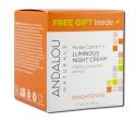 Andalou Naturals Brightening with Vitamin C Purple Carrot + C Luminous Night Cream 1.7 oz