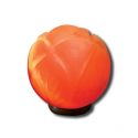 Evolution Salt Shaped Salt Lamps Lotus Flower