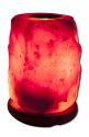 Evolution Salt Shaped Salt Lamps Aromatherapy