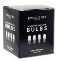 Evolution Salt Salt Accessories Bulb for Salt Lamp 15 watt 4 pk
