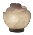 Evolution Salt Shaped Salt Lamps White Fire Bowl Crystal 6 to 7 lbs