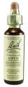 Bach Flower Remedies Original Flower Essences Aspen