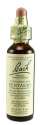 Bach Flower Remedies Original Flower Essences Centaury