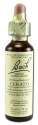 Bach Flower Remedies Original Flower Essences Cerato