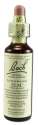 Bach Flower Remedies Original Flower Essences Elm