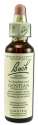 Bach Flower Remedies Original Flower Essences Gentian