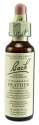 Bach Flower Remedies Original Flower Essences Heather