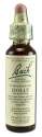 Bach Flower Remedies Original Flower Essences Holly
