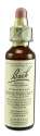 Bach Flower Remedies Original Flower Essences Honeysuckle
