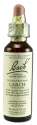 Bach Flower Remedies Original Flower Essences Larch