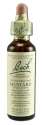 Bach Flower Remedies Original Flower Essences Mustard