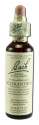 Bach Flower Remedies Original Flower Essences Scleranthus