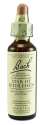 Bach Flower Remedies Original Flower Essences Star of Bethlehem