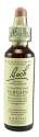 Bach Flower Remedies Original Flower Essences Vervain