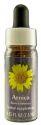 Flower Essence Services (FES) North American Flower Essences Arnica Flower Essence