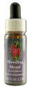 Flower Essence Services (FES) North American Flower Essences Bleeding Heart