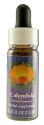 Flower Essence Services (FES) North American Flower Essences Calendula