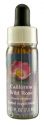 Flower Essence Services (FES) North American Flower Essences California Wild Rose