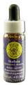 Flower Essence Services (FES) North American Flower Essences Mullein