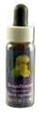 Flower Essence Services (FES) North American Flower Essences Snapdragon