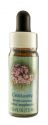 Flower Essence Services (FES) Healing Herbs English Flower Essences Centaury