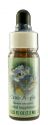 Flower Essence Services (FES) Healing Herbs English Flower Essences Crab Apple