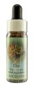 Flower Essence Services (FES) Healing Herbs English Flower Essences Elm