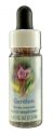 Flower Essence Services (FES) Healing Herbs English Flower Essences Gentian