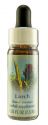 Flower Essence Services (FES) Healing Herbs English Flower Essences Larch
