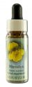 Flower Essence Services (FES) Healing Herbs English Flower Essences Mimulus