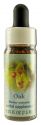 Flower Essence Services (FES) Healing Herbs English Flower Essences Oak
