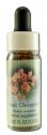 Flower Essence Services (FES) Healing Herbs English Flower Essences Red Chestnut