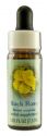 Flower Essence Services (FES) Healing Herbs English Flower Essences Rockrose